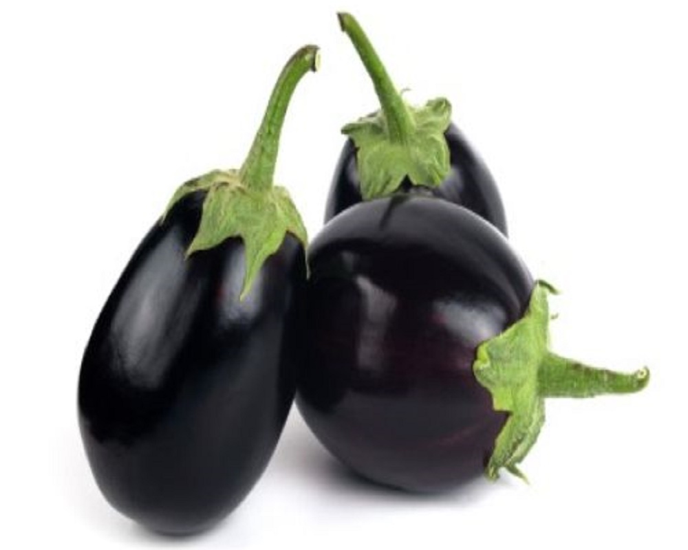 Brinjal Thorny
